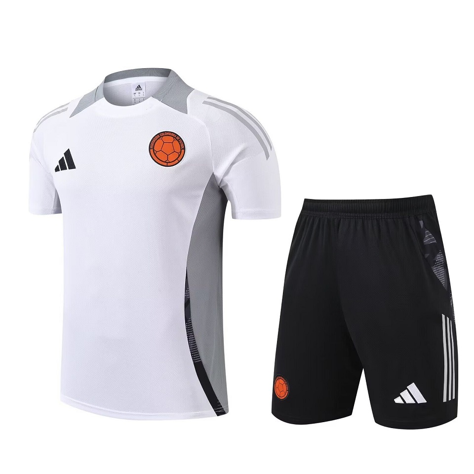 AAA Quality Colombia 24/25 White/Grey Training Kit Jerseys